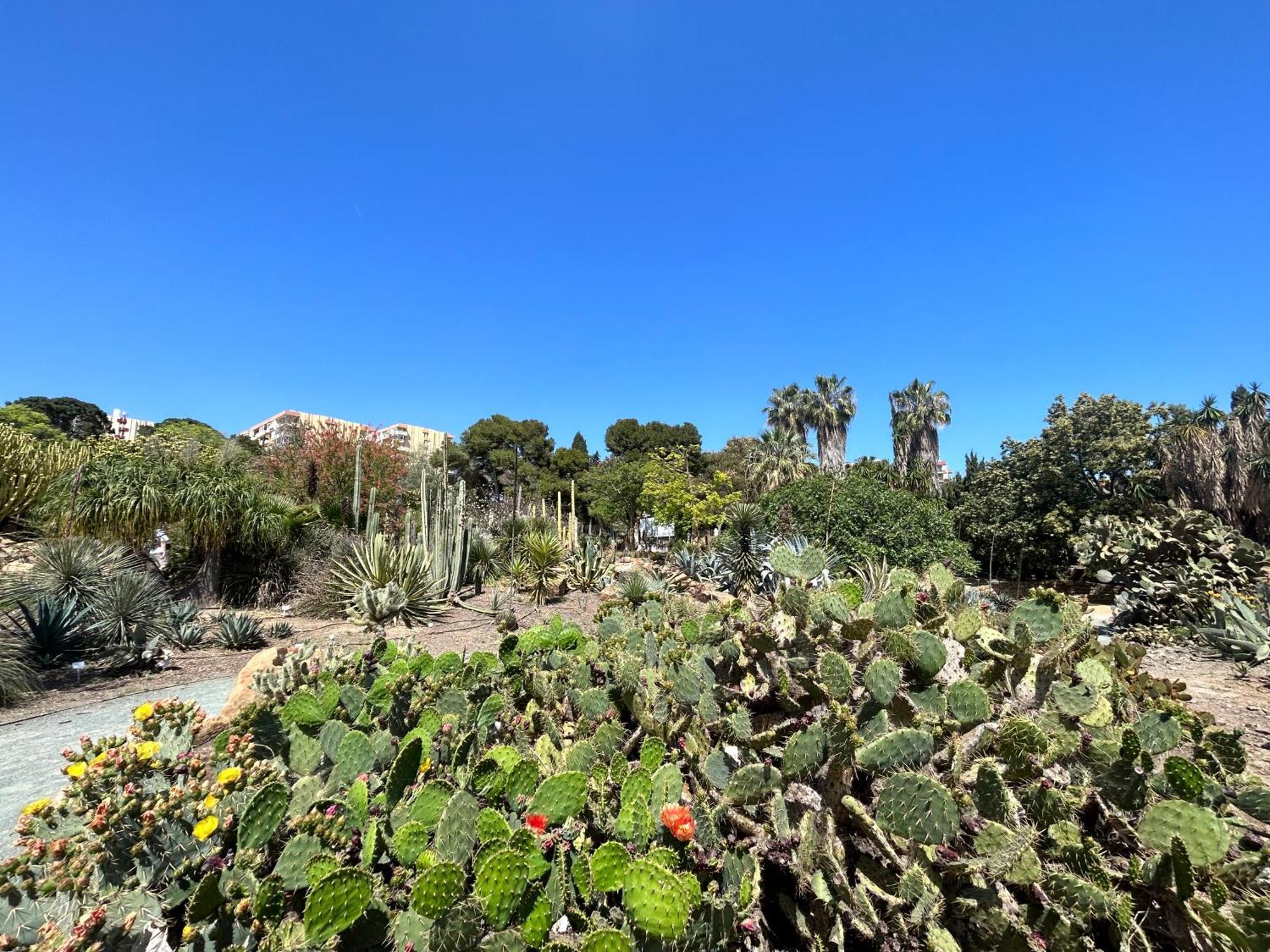 Acogedor Apartamento En Benalmadena Vistas エクステリア 写真